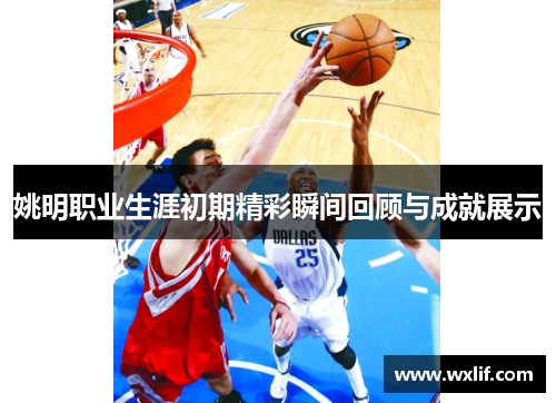 姚明职业生涯初期精彩瞬间回顾与成就展示