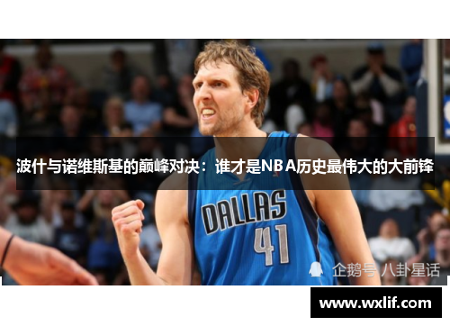 波什与诺维斯基的巅峰对决：谁才是NBA历史最伟大的大前锋